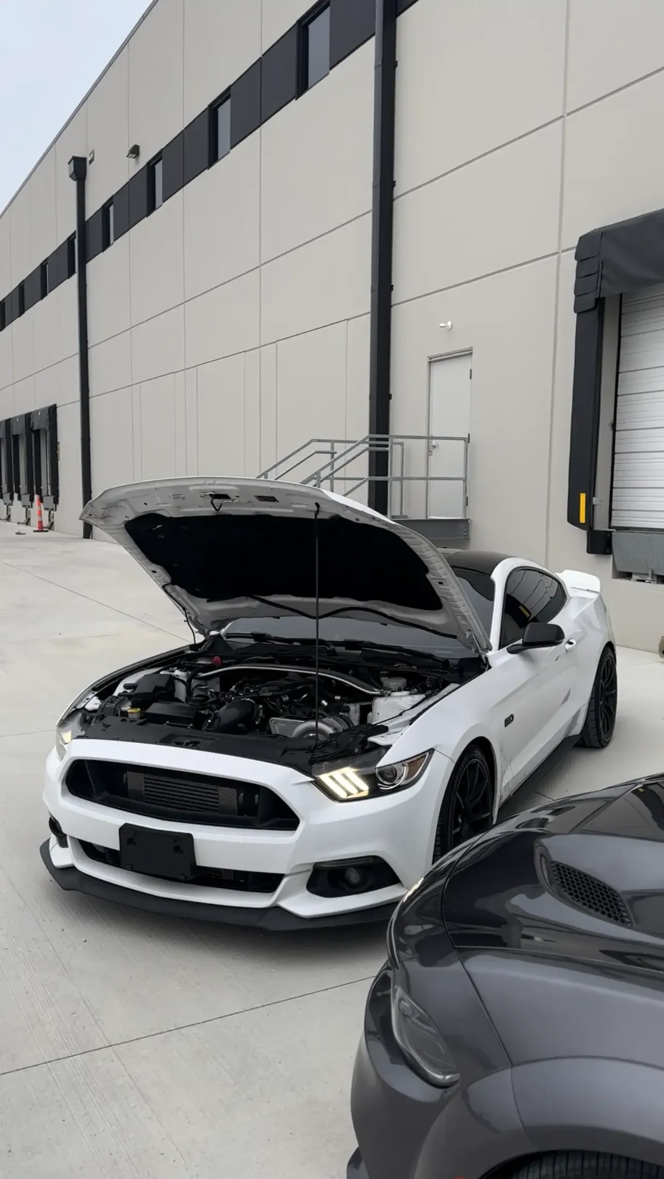 White Mustang with the hood up
